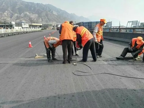 黎母山镇道路桥梁病害治理